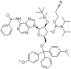 CAS # 104992-55-4, N-Benzoyl-5'-O-(4,4-Dimethoxytrityl)-2'-O-[(tert-butyl)dimethylsilyl]adenosine-3'-(2-cyanoethyl-N,N-diisopropyl)phosphoramidite, 5'-O-DMT-2'-TBDMS-rA(N-Bz)-3'-CEDPA