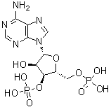 CAS # 1053-73-2, Adenosine 3',5'-bisphosphate, 3',5'-ADP, 3',5'-Diphosphoadenosine, 3'-Phosphoadenosine-5'-phosphate, 3'-Phosphoryl-AMP, A 3P5P