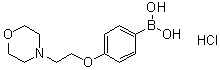 CAS # 1072945-74-4, [4-[2-(4-Morpholinyl)ethoxy]phenyl]boronic acid hydrochloride (1:1)