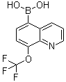[8-(三氟甲氧基)-5-喹啉基]硼酸分子结构 (CAS 1072951-46-2)