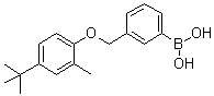 [3-[[4-(叔丁基)-2-甲基苯氧基]甲基]苯基]硼酸分子结构 (CAS 1072951-66-6)