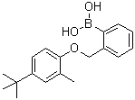 [2-[[4-(叔丁基)-2-甲基苯氧基]甲基]苯基]硼酸分子结构 (CAS 1072951-76-8)