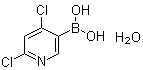 (4,6-二氯-3-吡啶基)硼酸水合物分子结构 (CAS 1072952-26-1)