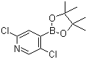 2,5-二氯吡啶-4-硼酸频哪醇酯分子结构 (CAS 1073353-98-6)