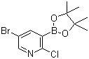 5-溴-2-氯吡啶-3-硼酸频哪醇酯分子结构 (CAS 1073354-79-6)