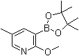 structure of CAS# 1083168-84-6, 2-Methoxy-5-methylpyridine-3-boronic acid pinacol ester