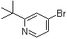 4-溴-2-叔丁基吡啶分子结构 (CAS 1086381-30-7)