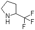 2-(三氟甲基)吡咯烷分子结构 (CAS 109074-67-1)