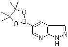 1H-吡唑并[3,4-b]吡啶-5-硼酸频那醇酯分子结构 (CAS 1093819-50-1)