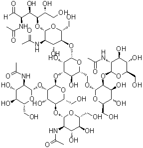 CAS 登录号：110387-63-8, O-2-(乙酰氨基)-2-脱氧-beta-D-吡喃葡萄糖基-(1→2)-O-alpha-D-甘露糖基-(1→6)-O-[O-2-(乙酰氨基)-2-脱氧-beta-D-吡喃葡萄糖基-(1→2)-O-[2-(乙酰氨基)-2-脱氧-beta-D-吡喃葡萄糖基-(1→4)]-alpha-D-甘露糖基-(1→3)]-O-beta-D-甘露糖基-(1→4)-O-2-(乙酰氨基)-2-脱氧-beta-D-吡喃葡萄糖基-(1→4)-2-(乙酰氨基)-2-脱氧-D-葡萄糖