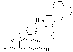 structure of CAS# 110698-53-8, 5-N-(十八烷酰基)氨基荧光素