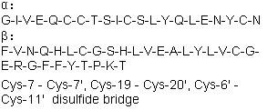 牛胰岛素分子结构 (CAS 11070-73-8)