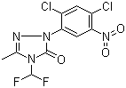2-(2,4-二氯-5-硝基苯基)-4-(二氟甲基)-2,4-二氢-5-甲基-3H-1,2,4-三唑-3-酮分子结构 (CAS 111992-17-7)