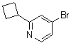 structure of CAS# 1142194-11-3, 4-溴-2-环丁基吡啶