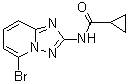 N-(5-溴[1,2,4]三唑并[1,5-a]吡啶-2-基)环丙烷甲酰胺分子结构 (CAS 1142943-96-1)