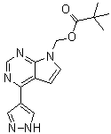 [4-(1H-吡唑-4-基)-7H-吡咯并[2,3-d]嘧啶-7-基]甲基特戊酸酯分子结构 (CAS 1146629-77-7)