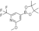 structure of CAS# 1150561-66-2, 2-甲氧基-6-三氟甲基吡啶-4-硼酸频哪醇酯