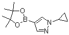 1-环丙基吡唑-4-硼酸频哪醇酯分子结构 (CAS 1151802-22-0)