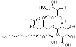 5-氨基戊基 O-6-脱氧-alpha-L-吡喃半乳糖基-(1→3)-O-[beta-D-吡喃半乳糖基-(1→4)]-2-(乙酰氨基)-2-脱氧-beta-D-吡喃葡萄糖苷分子结构 (CAS 1159604-40-6)
