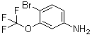 4-溴-3-(三氟甲氧基)苯胺分子结构 (CAS 116369-25-6)