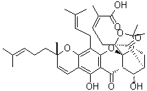10alpha-羟基表藤黄酸分子结构 (CAS 1164201-85-7)