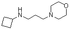 N-环丁基-4-吗啉丙胺分子结构 (CAS 1170233-42-7)