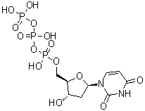 CAS # 1173-82-6, Deoxyuridine 5'-triphosphate, Deoxyuridine triphosphate, dUTP