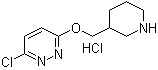 CAS 登录号：1185311-75-4, 3-氯-6-(3-哌啶基甲氧基)哒嗪盐酸盐