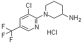 1-[3-Chloro-5-(trifluoromethyl)-2-pyridinyl]-3-piperidinamine hydrochloride molecular structure (CAS 1185313-62-5)