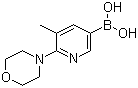 B-[5-甲基-6-(4-吗啉基)-3-吡啶基]硼酸分子结构 (CAS 1191062-85-7)
