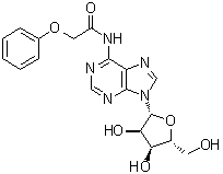 structure of CAS# 119824-65-6, N-(苯氧基乙酰基)腺苷
