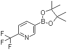 2-三氟甲基吡啶-5-硼酸频哪醇酯分子结构 (CAS 1218790-39-6)
