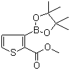 2-甲氧基甲酰基噻吩-3-硼酸频哪醇酯分子结构 (CAS 1227664-10-9)