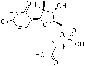 CAS 登录号：1233335-78-8, N-[(2'R)-2'-脱氧-2'-氟-2'-甲基-5'-尿苷酰基]-L-丙氨酸