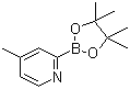 4-甲基-2-吡啶硼酸频哪醇酯分子结构 (CAS 1236119-88-2)