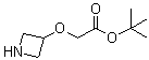 CAS # 1243440-47-2, 2-(3-Azetidinyloxy)acetic acid 1,1-dimethylethyl ester