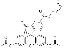 CAS # 124412-00-6, 3',6'-Bis(acetyloxy)-3-oxospiro[isobenzofuran-1(3H),9'-[9H]xanthene]-5-carboxylic acid (acetyloxy)methyl ester, CFDA-AM