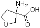 structure of CAS# 125218-55-5, 3-氨基四氢呋喃-3-羧酸