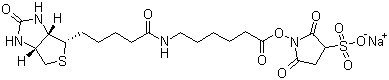 CAS # 127062-22-0, Sulfosuccinimidyl 6-(biotinamido)hexanoate sodium salt, 6-[[5-(Hexahydro-2-oxo-1H-thieno[3,4-d]imidazol-4-yl)-1-oxopentyl]amino]hexanoic acid 2,5-dioxo-3-sulfo-1-pyrrolidinyl ester sodium salt (1:1)