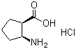 CAS 登录号：128110-37-2, (1R,2S)-(-)-2-氨基-1-环戊烷羧酸盐酸盐