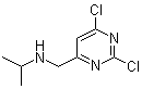 CAS # 1289385-44-9, 2,6-Dichloro-N-(1-methylethyl)-4-pyrimidinemethanamine