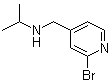 2-溴-N-(1-甲基乙基)-4-吡啶甲胺分子结构 (CAS 1289386-60-2)