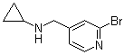 CAS # 1289386-62-4, 2-Bromo-N-cyclopropyl-4-pyridinemethanamine