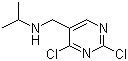 2,4-Dichloro-N-(1-methylethyl)-5-pyrimidinemethanamine molecular structure (CAS 1289387-95-6)