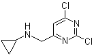 2,6-Dichloro-N-cyclopropyl-4-pyrimidinemethanamine molecular structure (CAS 1289387-98-9)