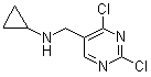 CAS 登录号：1289388-21-1, 2,4-二氯-N-环丙基-5-嘧啶甲胺