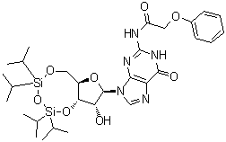 structure of CAS# 131474-72-1, N-(苯氧基乙酰基)-3',5'-O-[1,1,3,3-四(异丙基)-1,3-二硅氧烷二基]鸟苷
