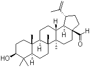 structure of CAS# 13159-28-9, 白桦脂醛