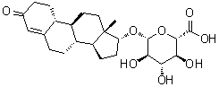 (17beta)-3-氧代雌甾-4-烯-17-基 beta-D-吡喃葡糖苷酸分子结构 (CAS 131749-24-1)