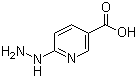 6-肼基烟酸分子结构 (CAS 133081-24-0)